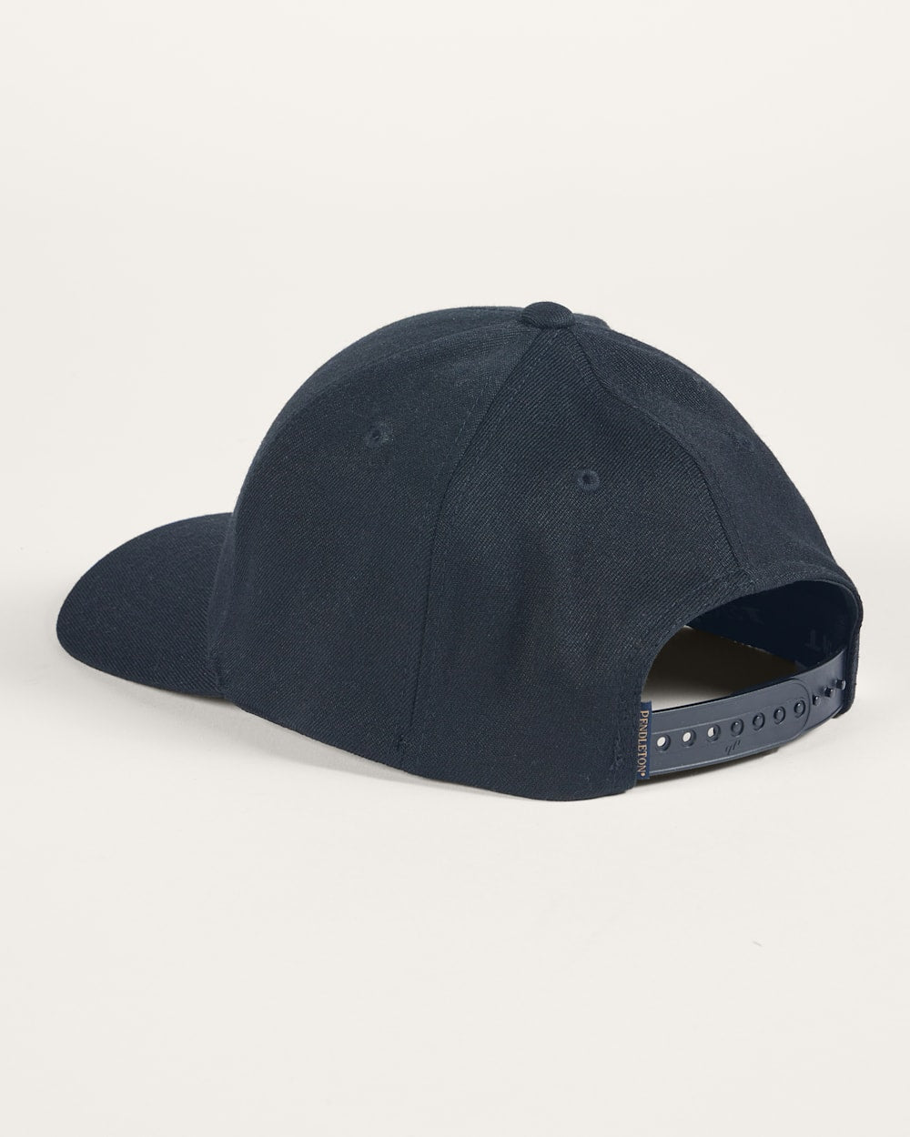 Shop Stylish Bison Embroidered Hat Now - Pendleton Trending
