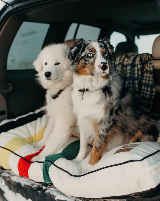 Shop Glacier National Park Pet Bed Napper for Pet Comfort - Pendleton Great Value