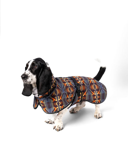 Shop Mystic Lake Pet Rain Coat in Pet Accessories - Pendleton Special Offer