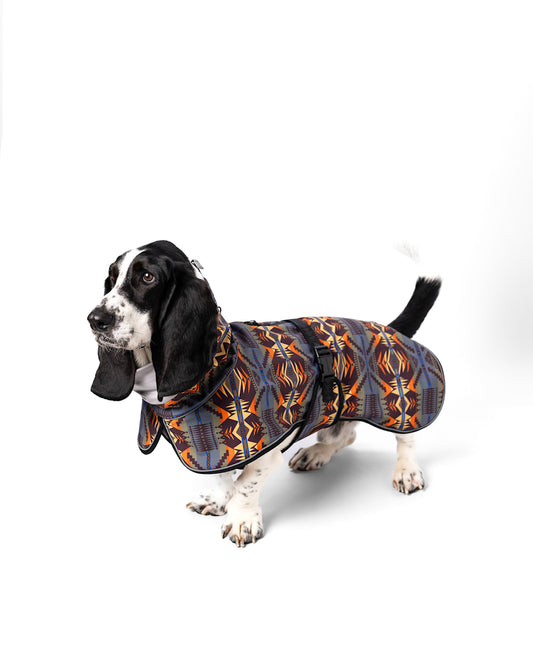 Shop Mystic Lake Pet Rain Coat in Pet Accessories - Pendleton Special Offer