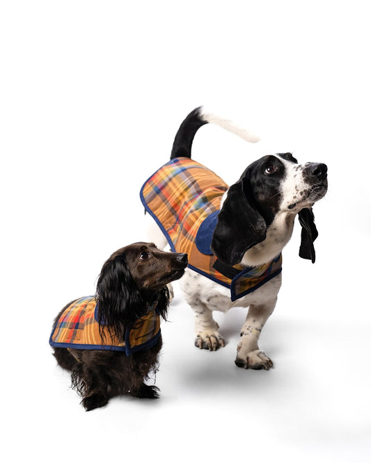 Shop Desert Plaid Pet Coat in Pet Accessories - Pendleton Smart Buy