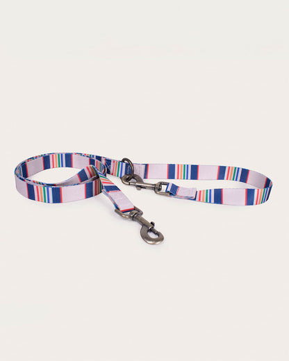 Buy The Durable Yellowstone Adventure Leash - Pendleton Exclusive