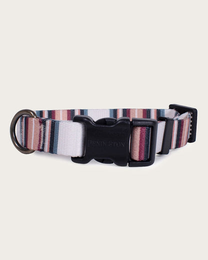 Shop Serape Adventure Collar Vibrant & Adjustable Dog Collar - Pendleton Top Pick