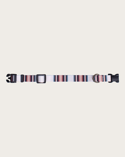 Shop Serape Adventure Collar Vibrant & Adjustable Dog Collar - Pendleton Top Pick