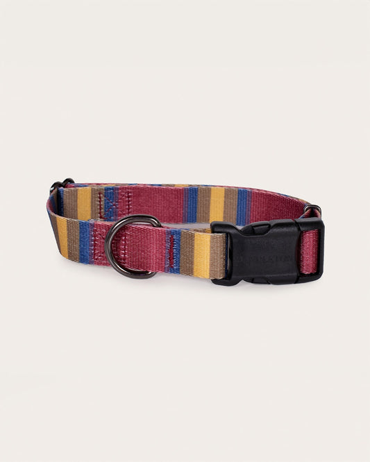 Shop Stylish & Durable Zion Adventure Collars - Pendleton Sale