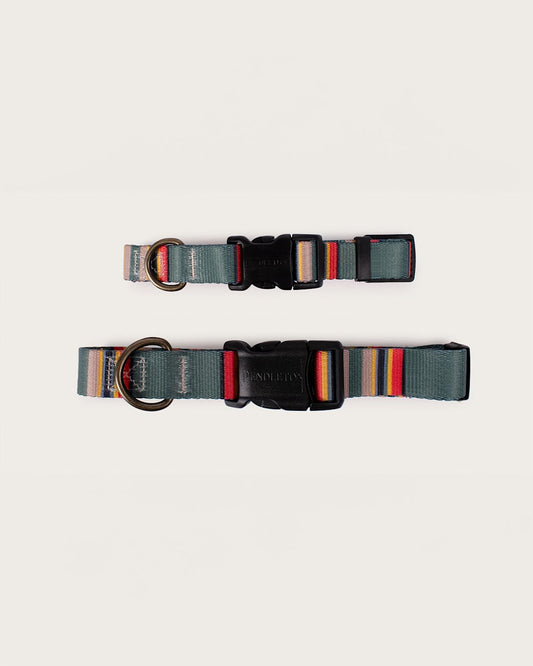Shop Stylish & Durable Yakima Adventure Collars - Pendleton Everyday