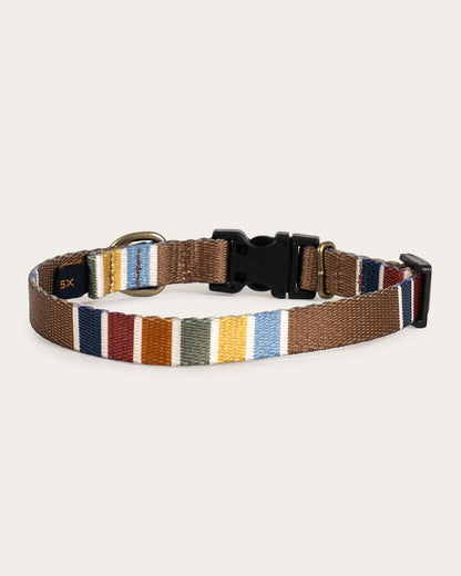 Shop Joshua Tree Adventure Collar in Pet Accessories - Pendleton Essential