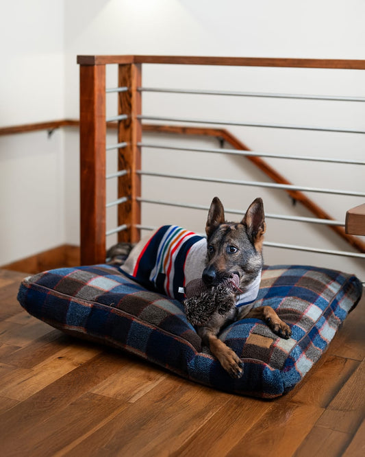 MOUNTAIN PLAID PET BED - NAPPER - Pendleton Best Price