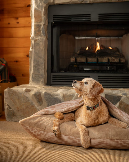 Shop Ginger Mesilla Burrow Pet Bed in Pet Accessories - Pendleton Top Pick