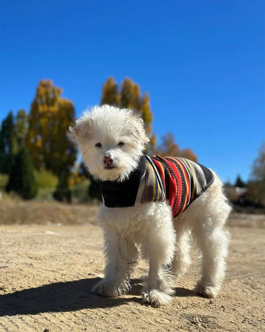 Shop Stylish Acadia National Park Pet Vest Now - Pendleton Discount