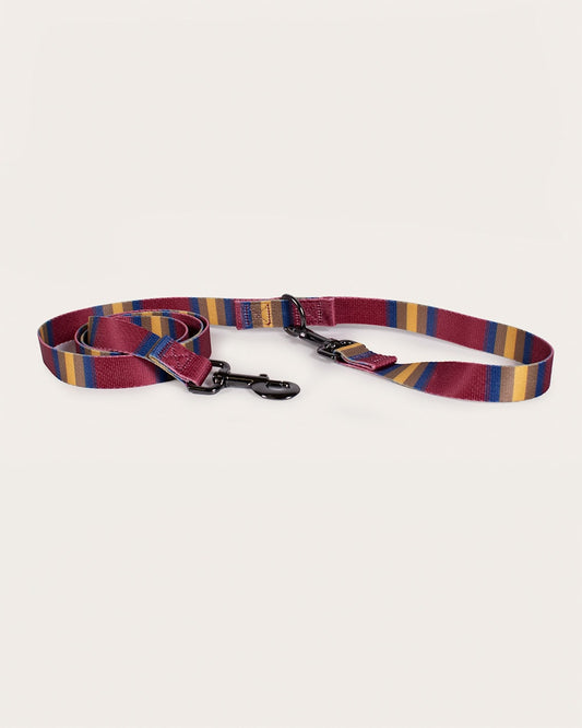Shop Stylish, Durable Zion Adventure Leashes - Pendleton Discount