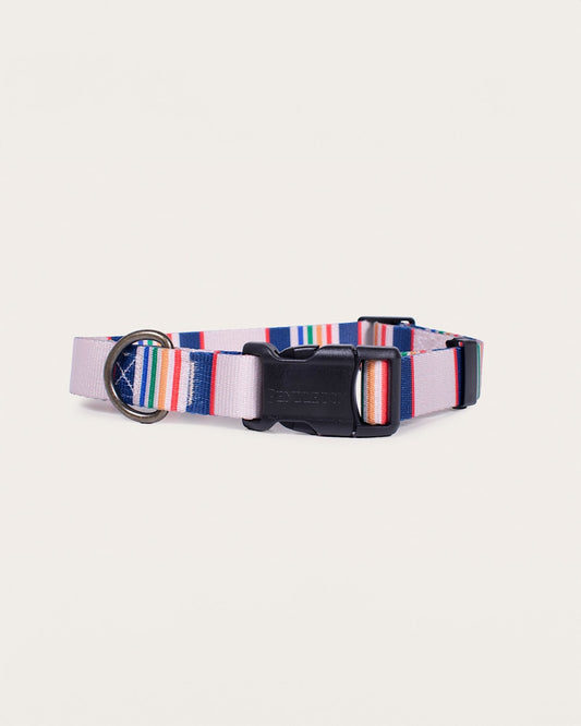 Shop Stylish Yellowstone Adventure Collars - Pendleton Smart Buy