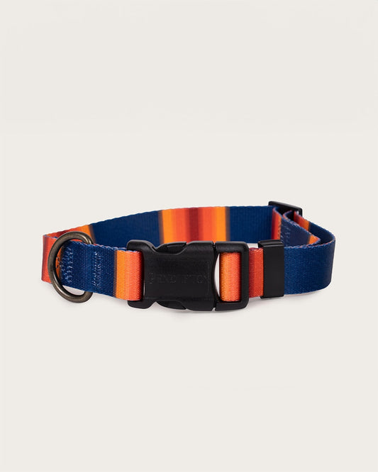 Shop Stylish Grand Canyon Adventure Collars - Pendleton Trusted