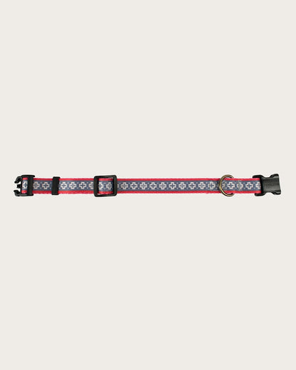 Buy San Miguel Adventure Collar Comfortable Pet Collar - Pendleton Latest