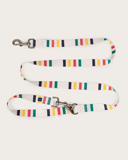 Buy The Stylish Glacier Adventure Leash - Pendleton Top Pick