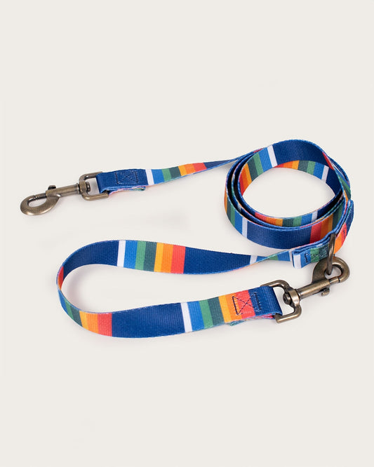 Shop Stylish Crater Lake Adventure Leashes - Pendleton Deals