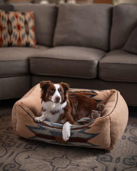 WYETH TRAIL PET BED - KUDDLER - Pendleton Trending