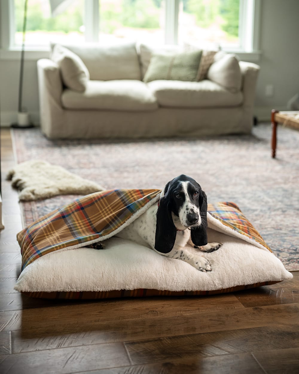 Shop Desert Plaid Burrow Pet Bed in Pet Accessories - Pendleton Smart Buy